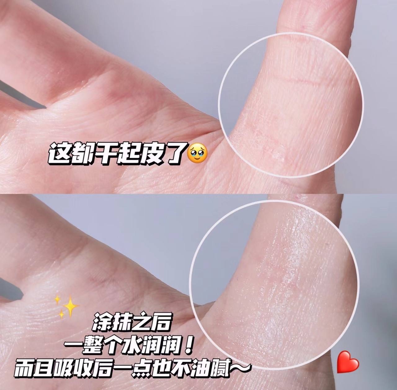 IMG_2599-1740655729126