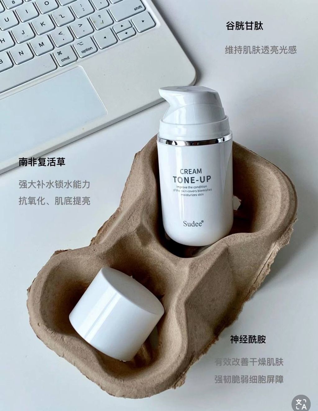 IMG_2613-1740655792407