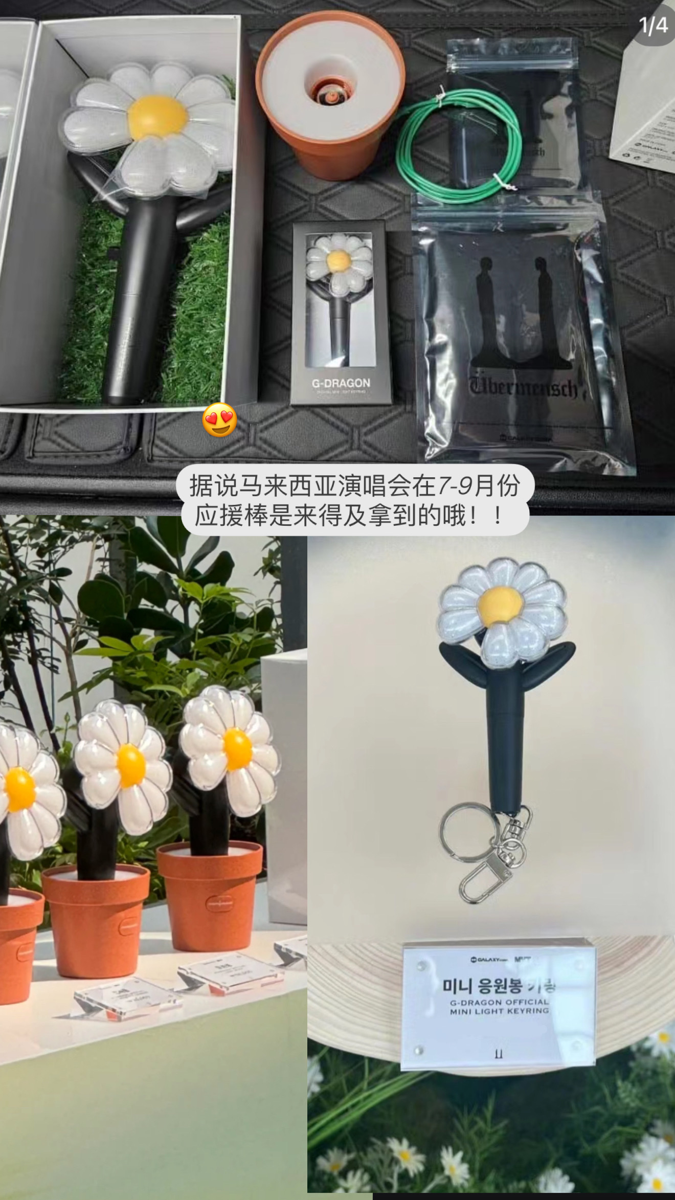 image_748D8C87-948C-4F3E-8B5D-178D1B914EBB_1741657815