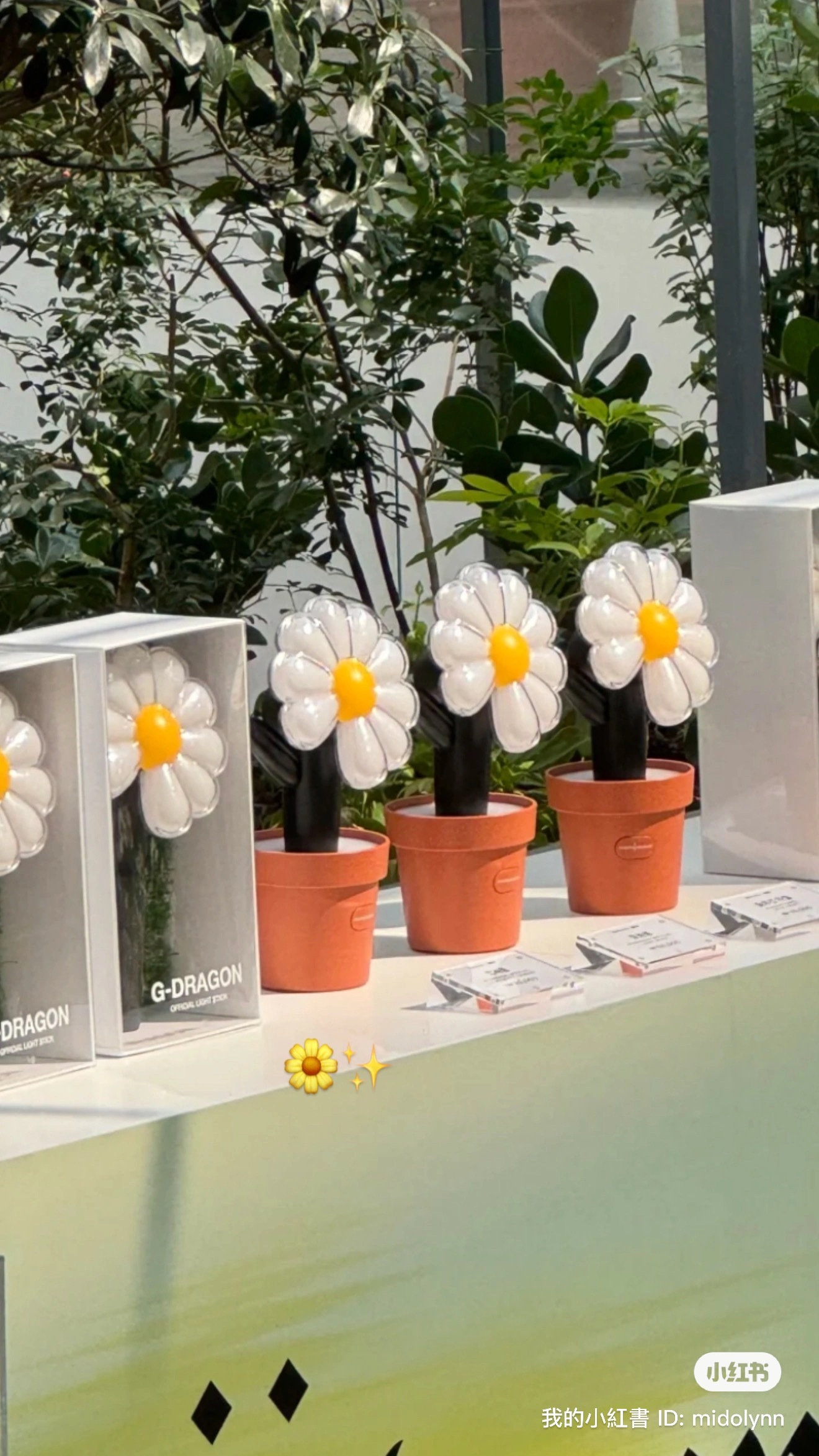 image_A7D4A880-A805-4EFE-AB6E-C82655C0EEE8_1741657815