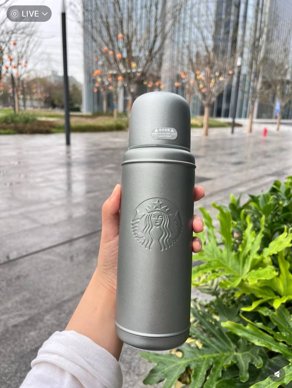 image_48E6C369-2258-440F-9D91-33AF8108757F_1741696844