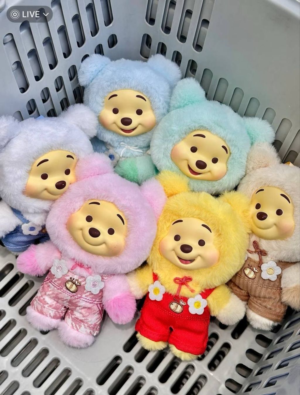 image_903E0052-AB9A-4C60-998B-D6BE98BEF9EB_1742012457