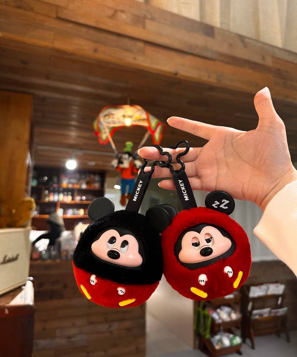 image_DBF79A61-196A-4B07-840A-C6AFAC48D3A9_1742012866