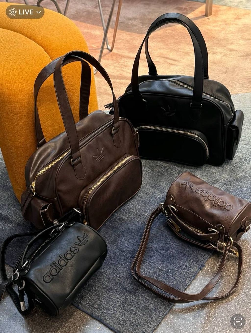 image_186DEE68-929D-4416-9581-B610FC497706_1742212176