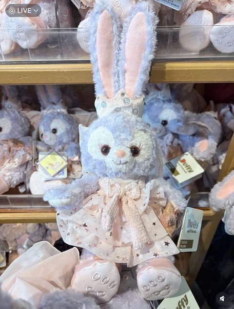 image_A8EC865D-F80D-463F-8089-3B8C9C3889C1_1742309588