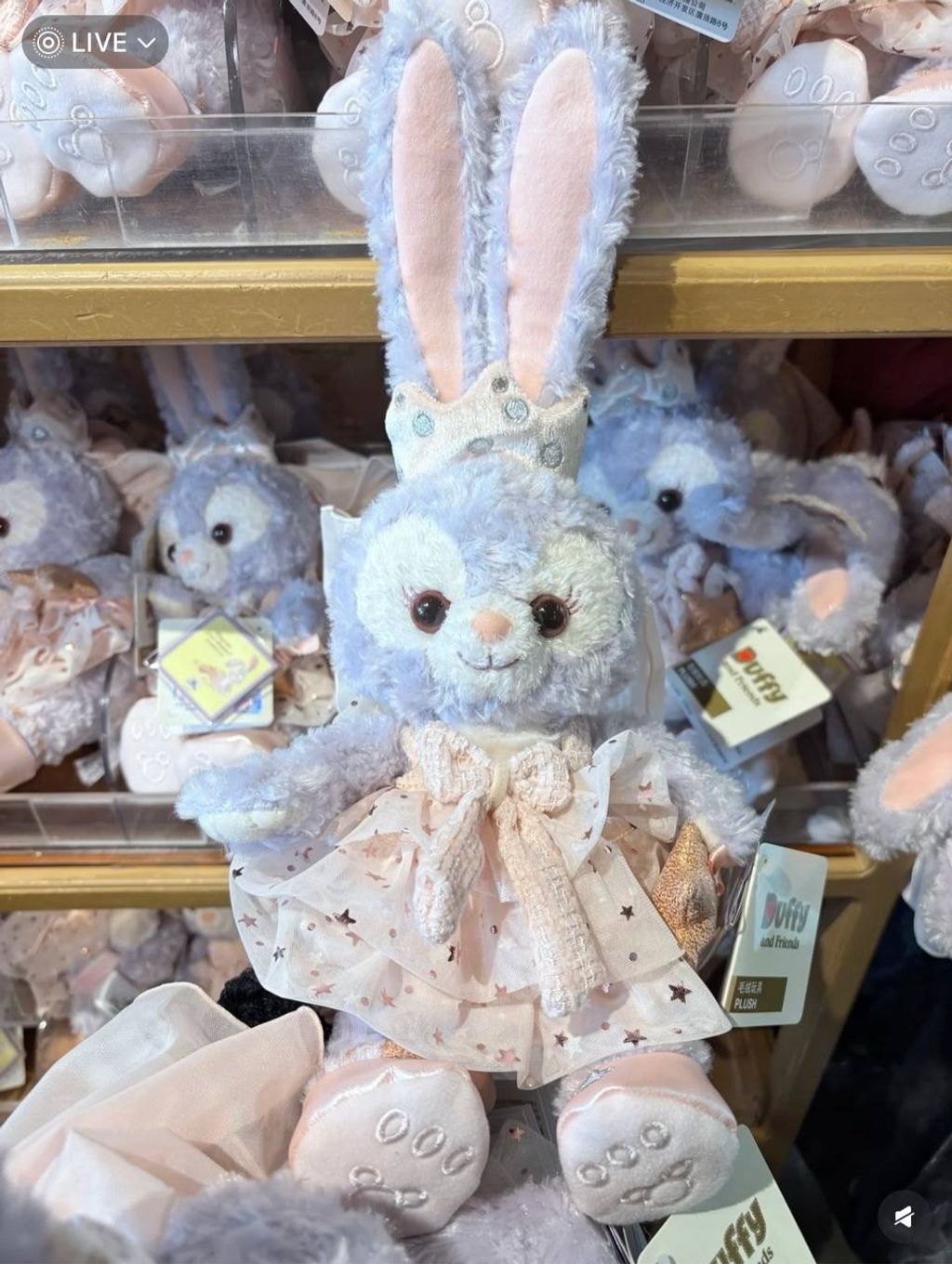 image_8B834A1E-93DF-4AC7-A2CA-462BE7B4FC96_1742309588