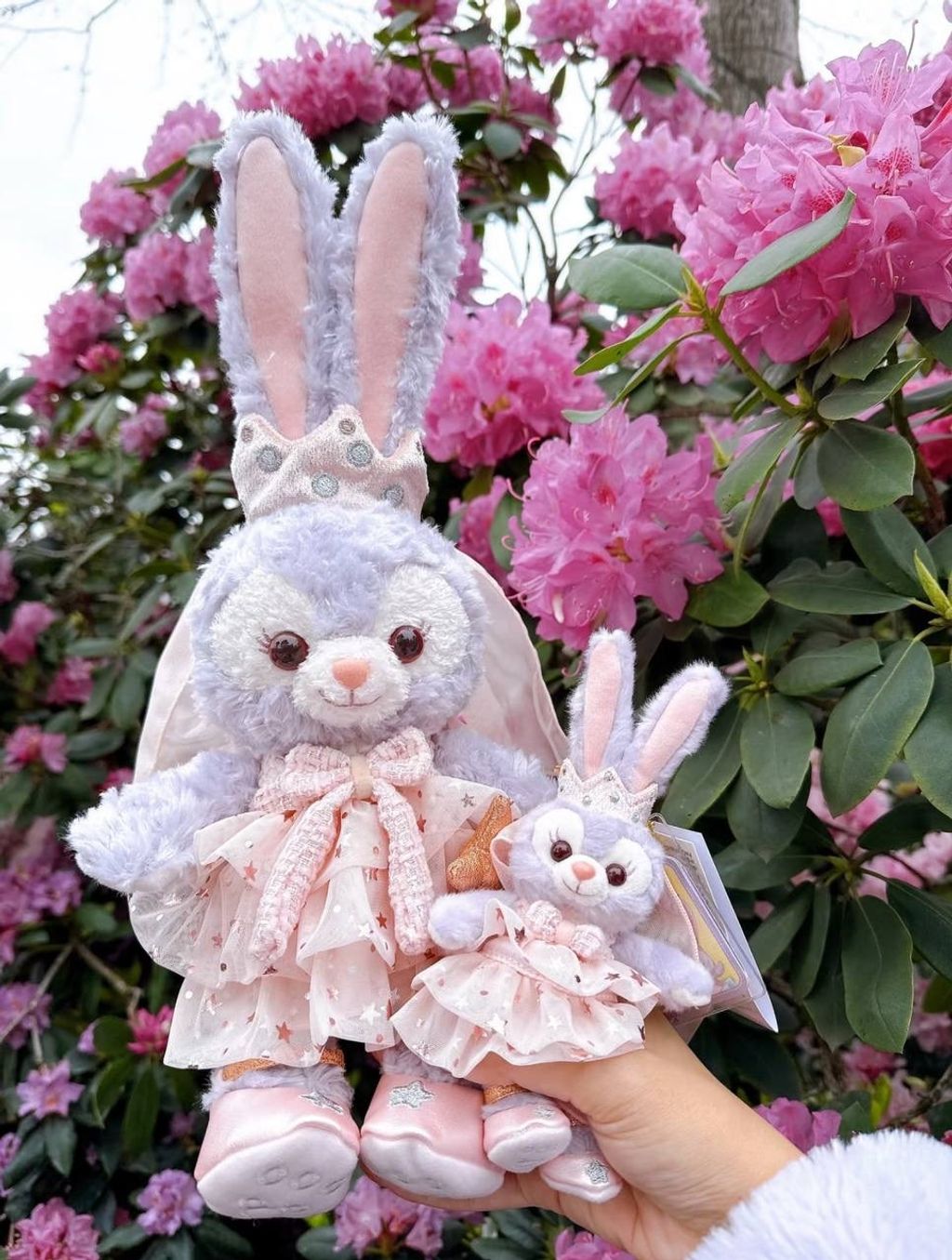 image_72F7F70D-D19F-4254-8D8E-FA70776C2F9B_1742309588