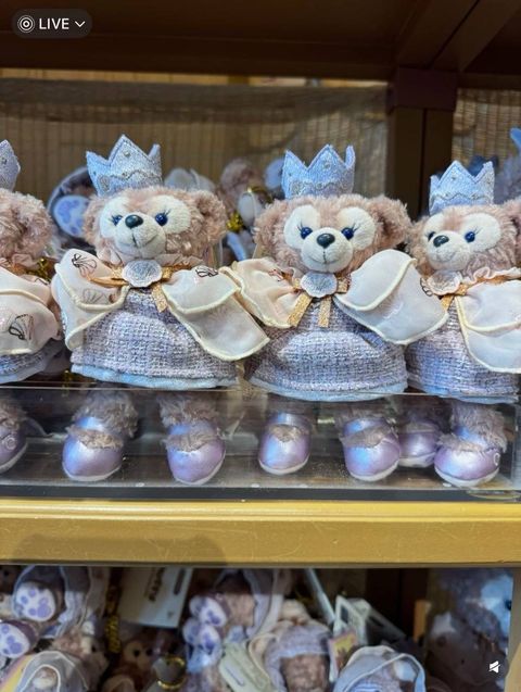 image_EE448B72-282D-4D01-9B4D-42140B586E1D_1742309659