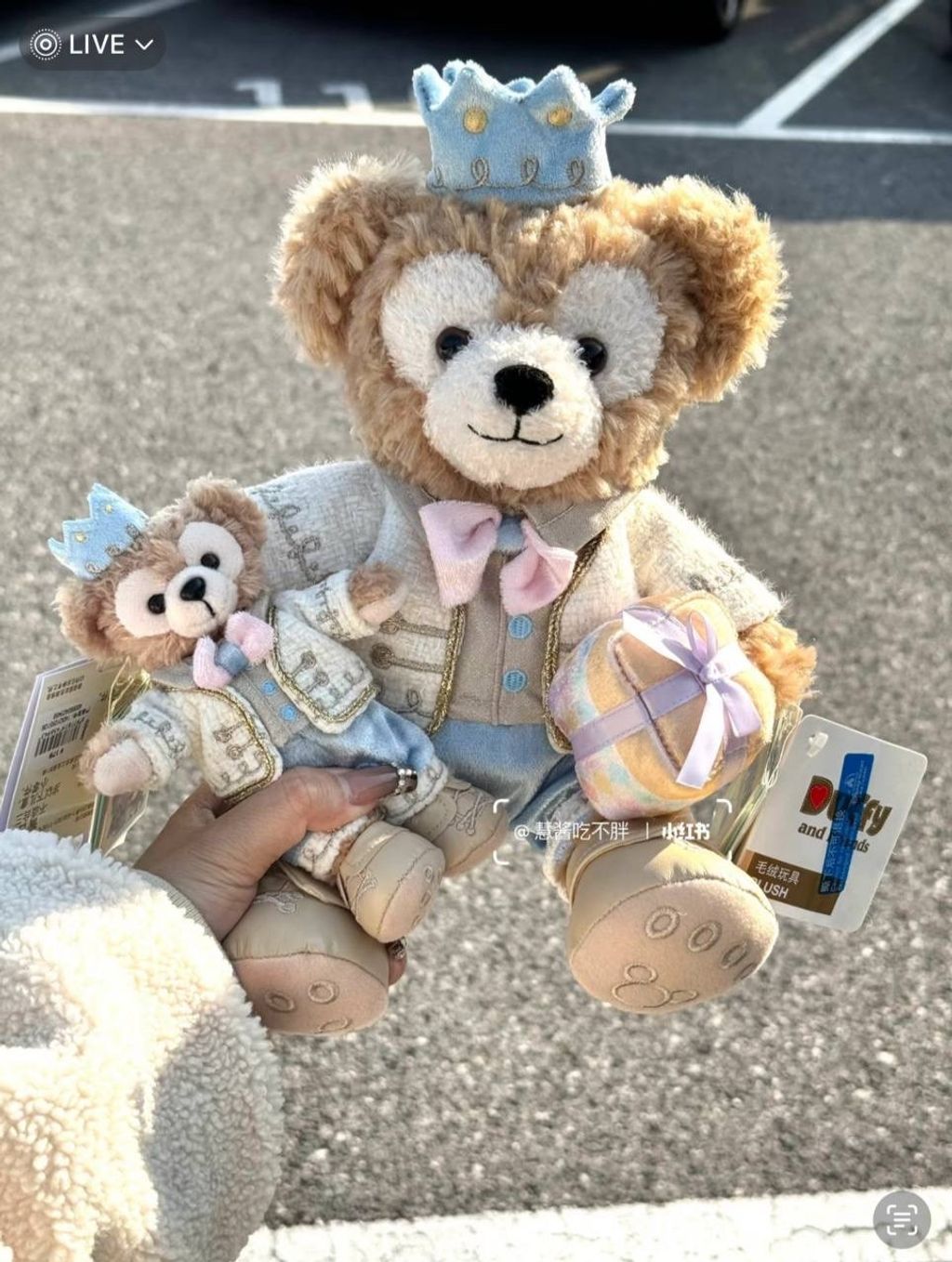 image_CD84A512-DCF2-4254-A7F5-8AB5B1F9DF06_1742309727