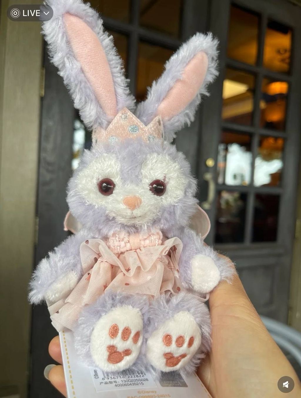 image_BE4333B9-B6A5-4822-8DDA-D1B6A360CAA8_1742309857