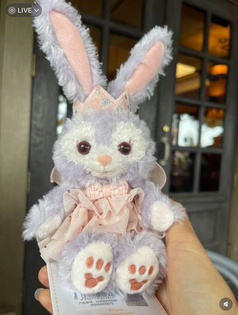 image_BE4333B9-B6A5-4822-8DDA-D1B6A360CAA8_1742309857