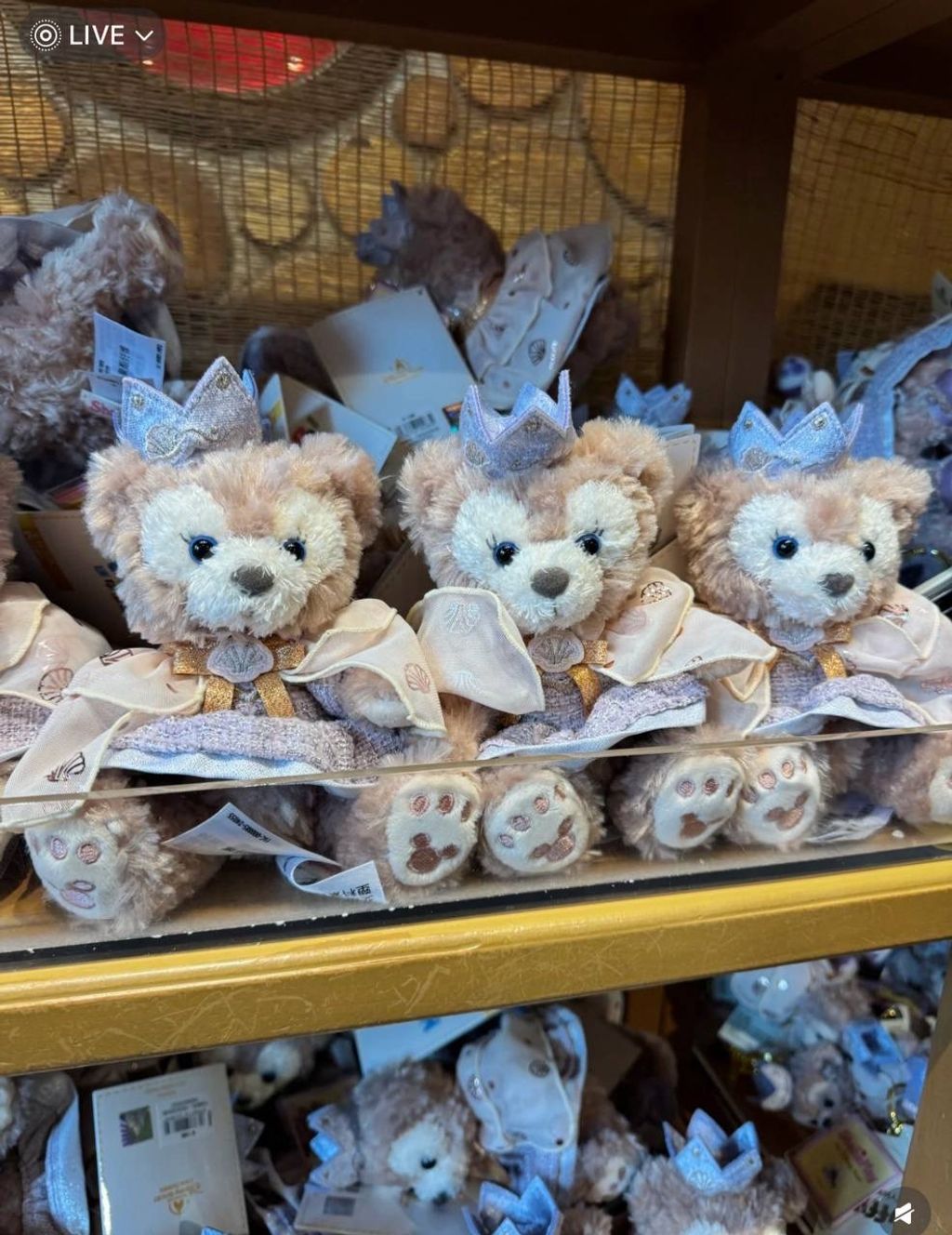 image_2916F28C-D431-4ABD-8120-988664EDA600_1742309857