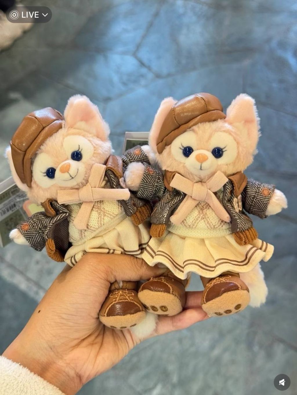 image_5BA071A0-8D60-4452-80E2-2D928F3BFB47_1742310186