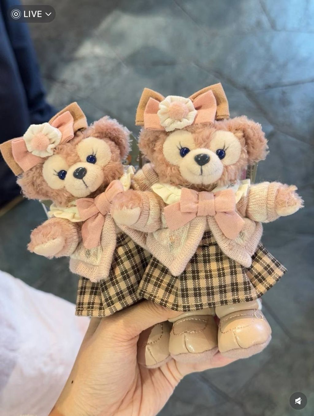 image_D00803C6-4284-4346-81DC-69BC5FAEE39F_1742310186