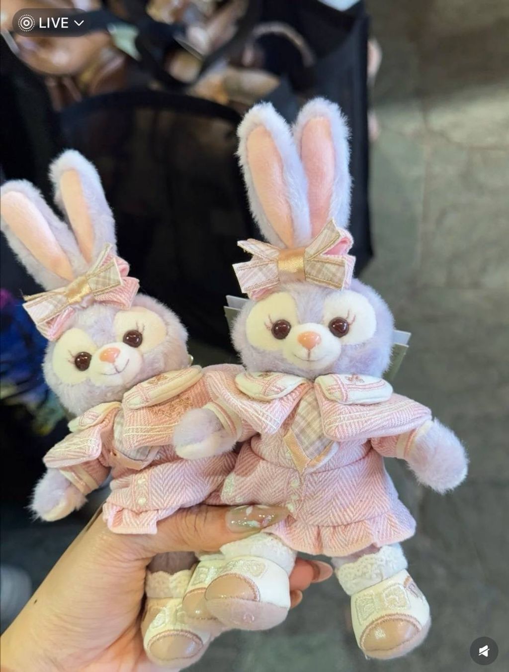 image_73628C94-15F5-41C9-AB03-9714BC7CEE34_1742310186