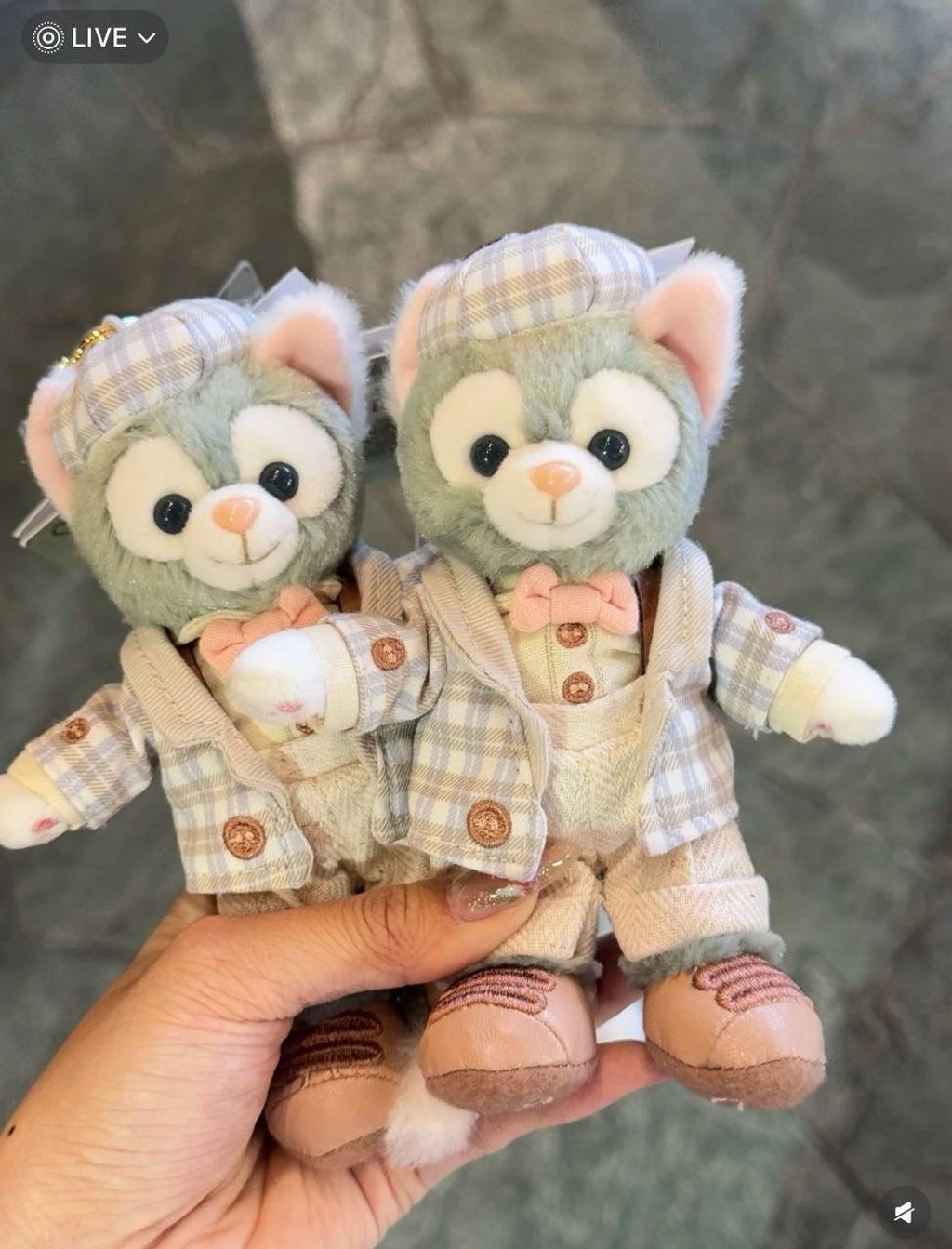 image_0EC477C5-4EF9-4B25-A92E-3143BE7C0DAF_1742310186