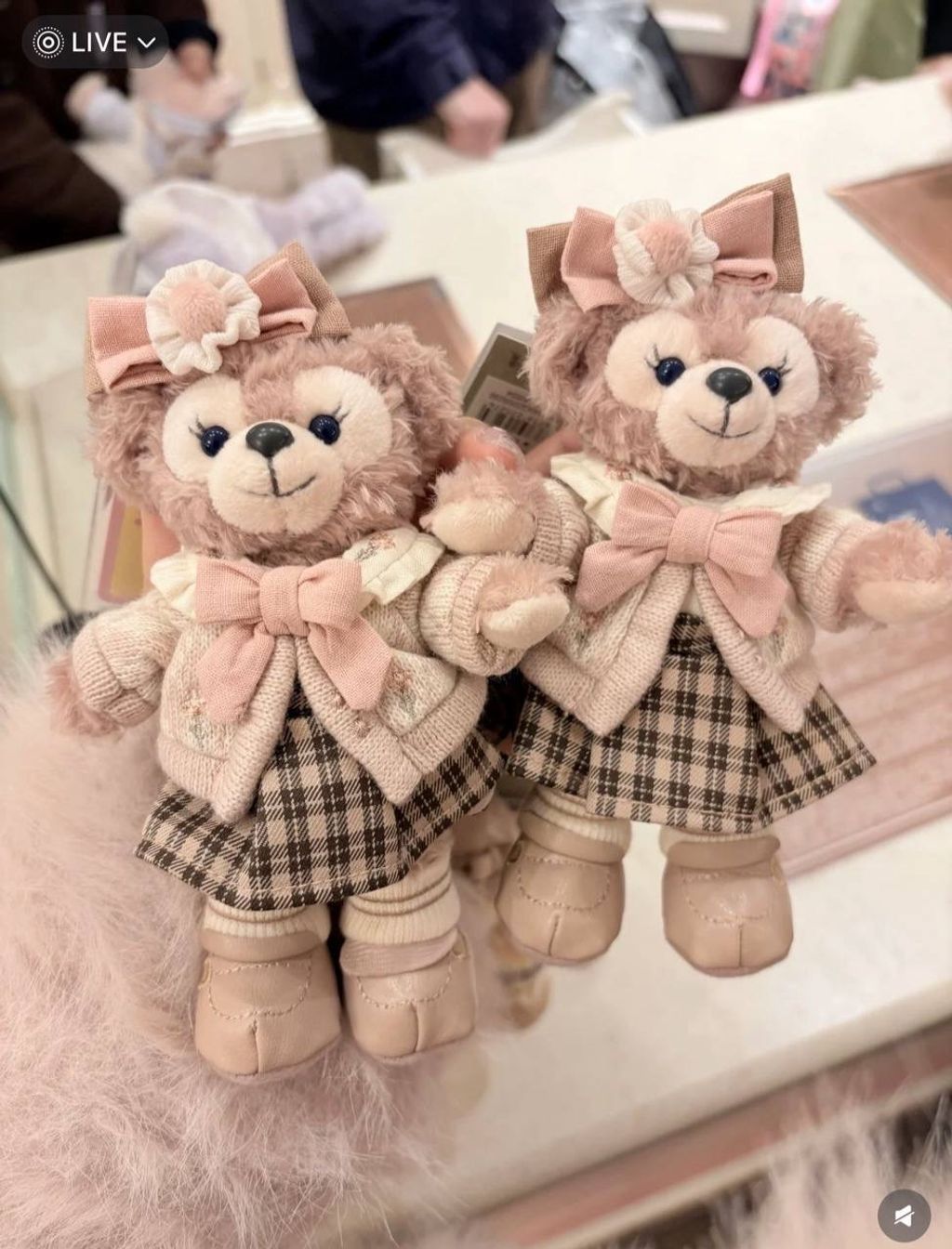 image_CFB99ABD-7CFE-48AC-BFFA-023011BBE4A5_1742310186