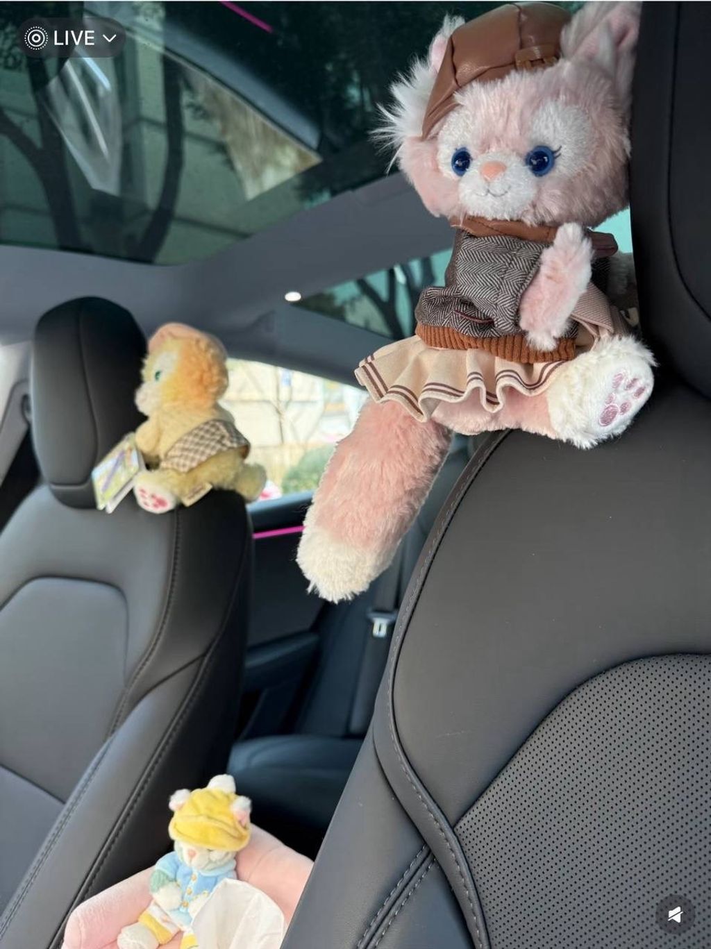 image_CA5A3211-B565-49E8-BD86-42ED5002B138_1742310372