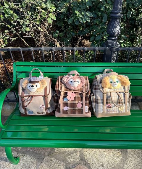 image_E686C0D9-44AE-4011-8E78-53867AD7DD80_1742310483