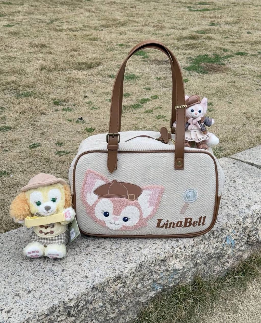 image_75F1F822-E411-4973-8EF3-D69456915DB6_1742310618