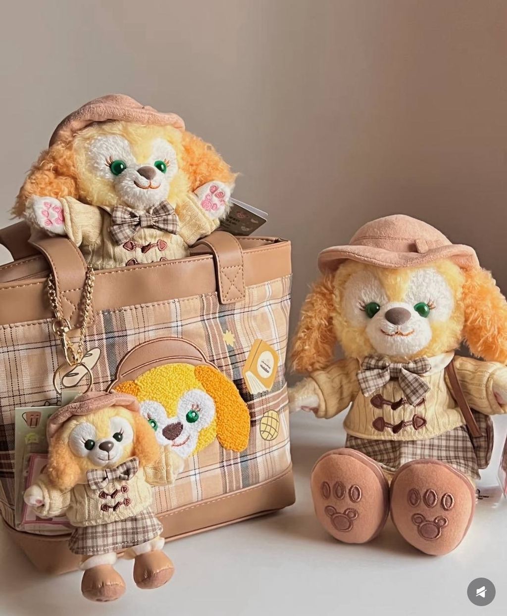 image_6D05A255-3778-4139-9864-C7AEA861408D_1742310677