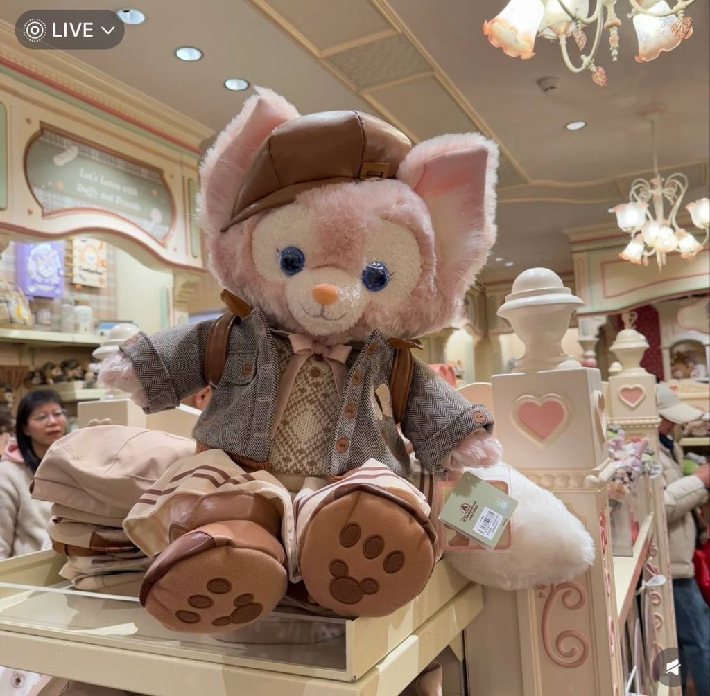 image_620D5AEE-8D6C-411D-AD0A-FBB9C1CBEE57_1742310751