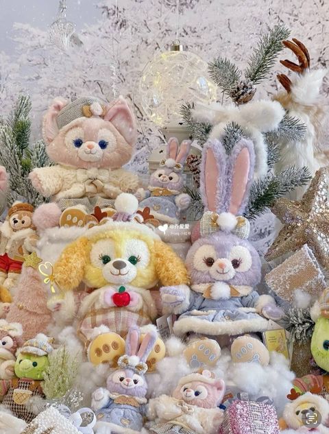 image_9A145DE2-40BC-40C7-B1E3-566E39B8FF9B_1742395221