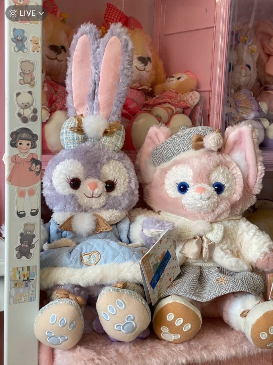 image_B1C48C29-1D3E-40AE-96CD-4B1BBE6A311A_1742395221