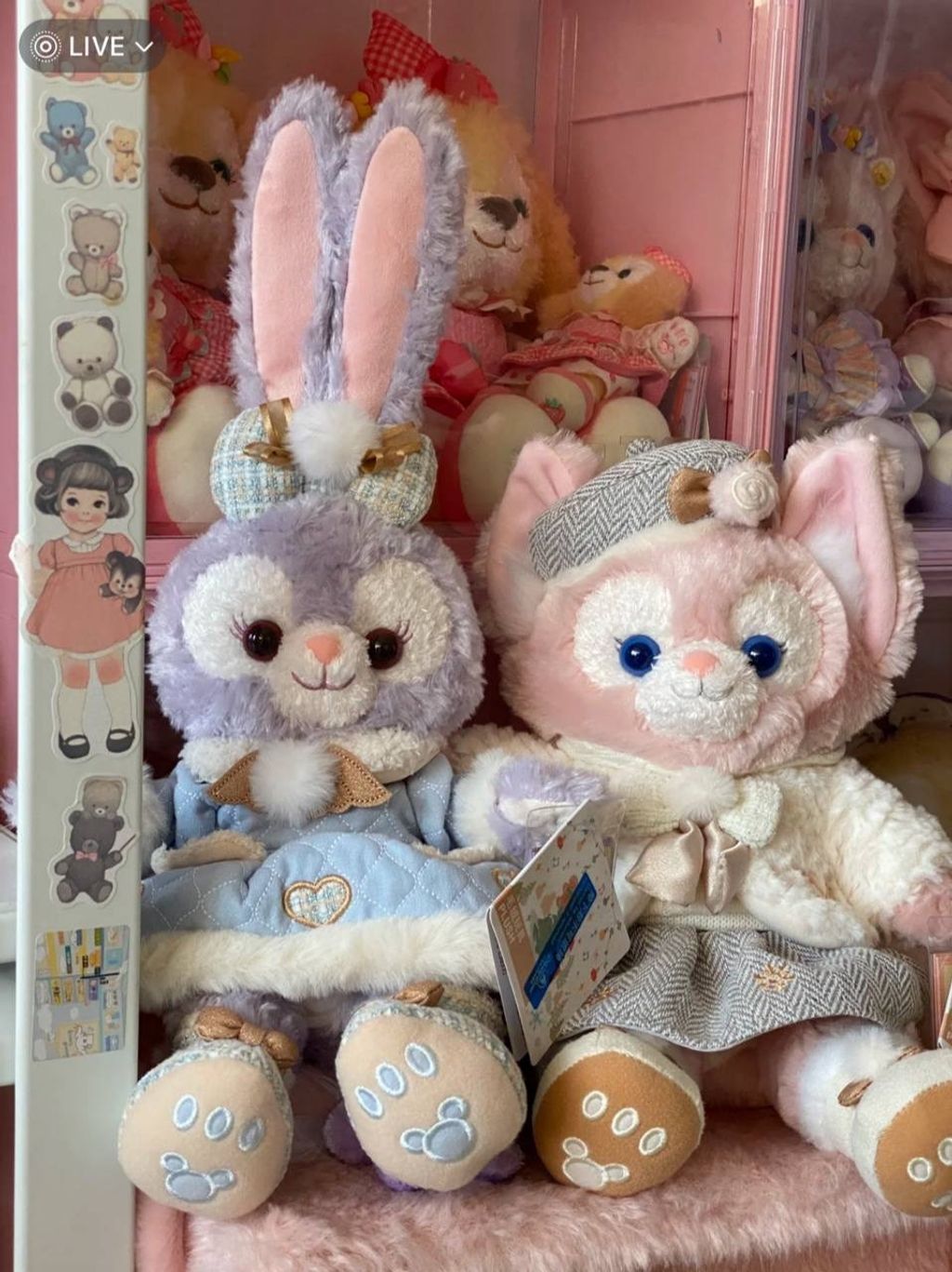 image_B1C48C29-1D3E-40AE-96CD-4B1BBE6A311A_1742395221