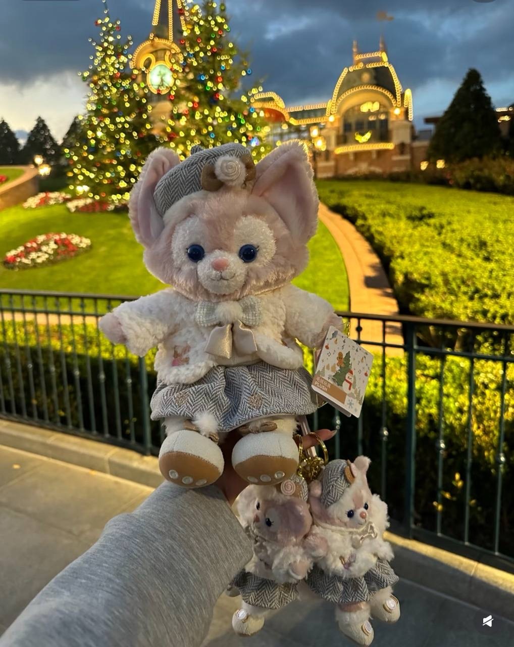 image_CE1E00DB-03DE-4581-BEA6-C3711B7C785D_1742395221