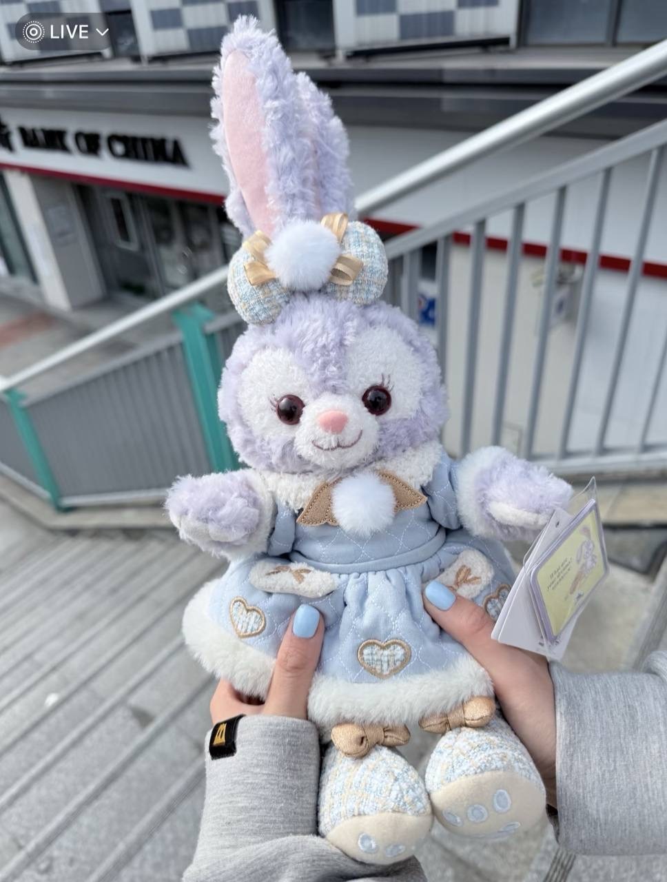 image_F686AA1B-D027-4678-8F20-D9E18BCBBF9F_1742395221