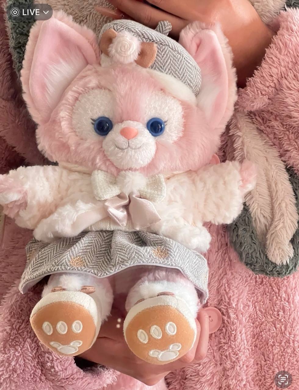 image_2FBCF33E-E4F0-4AFE-A98D-7083D0526393_1742395221