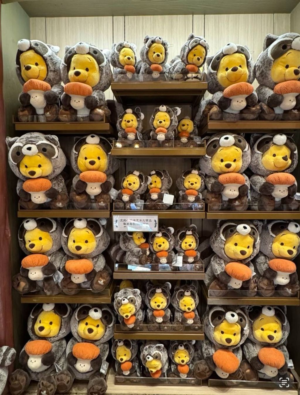 image_8FD0A4E4-3A61-422D-AFA2-0F98C5304E3A_1742395597