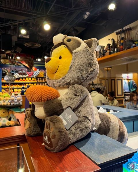 image_82D0A420-A777-480B-936C-AC3FE6531F67_1742395597