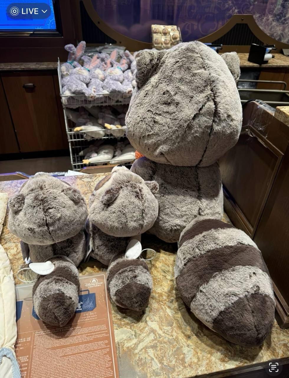 image_A839F287-1A6C-4E9A-8481-9A3B082A0045_1742395597