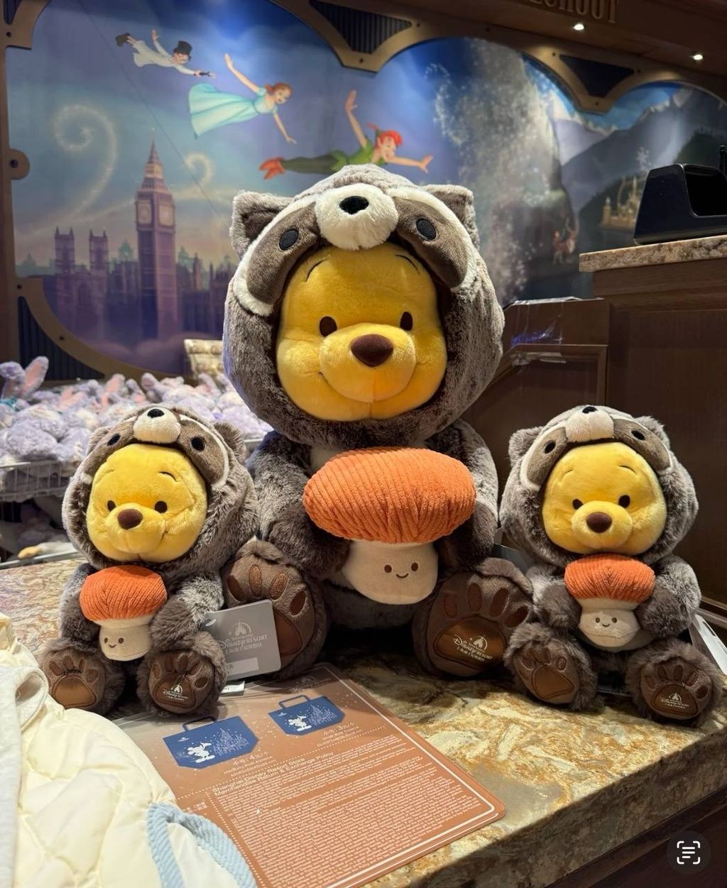 image_E5ADD84E-1E44-4A5B-A4F4-54E87C757902_1742395597