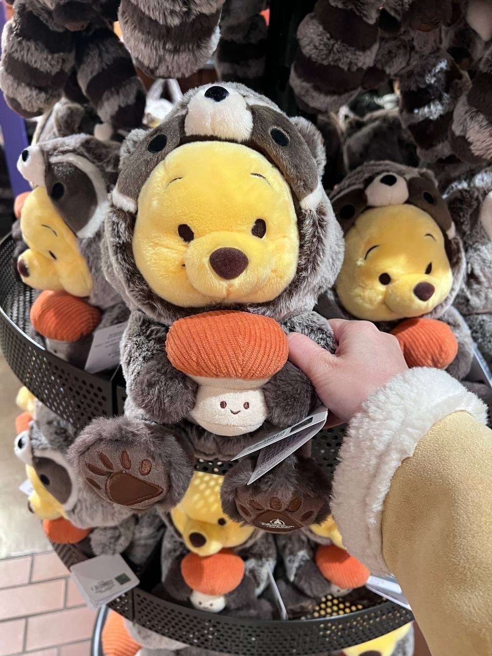 image_2D1DB4EB-D97B-4F6D-A422-57EF05D19B18_1742395597