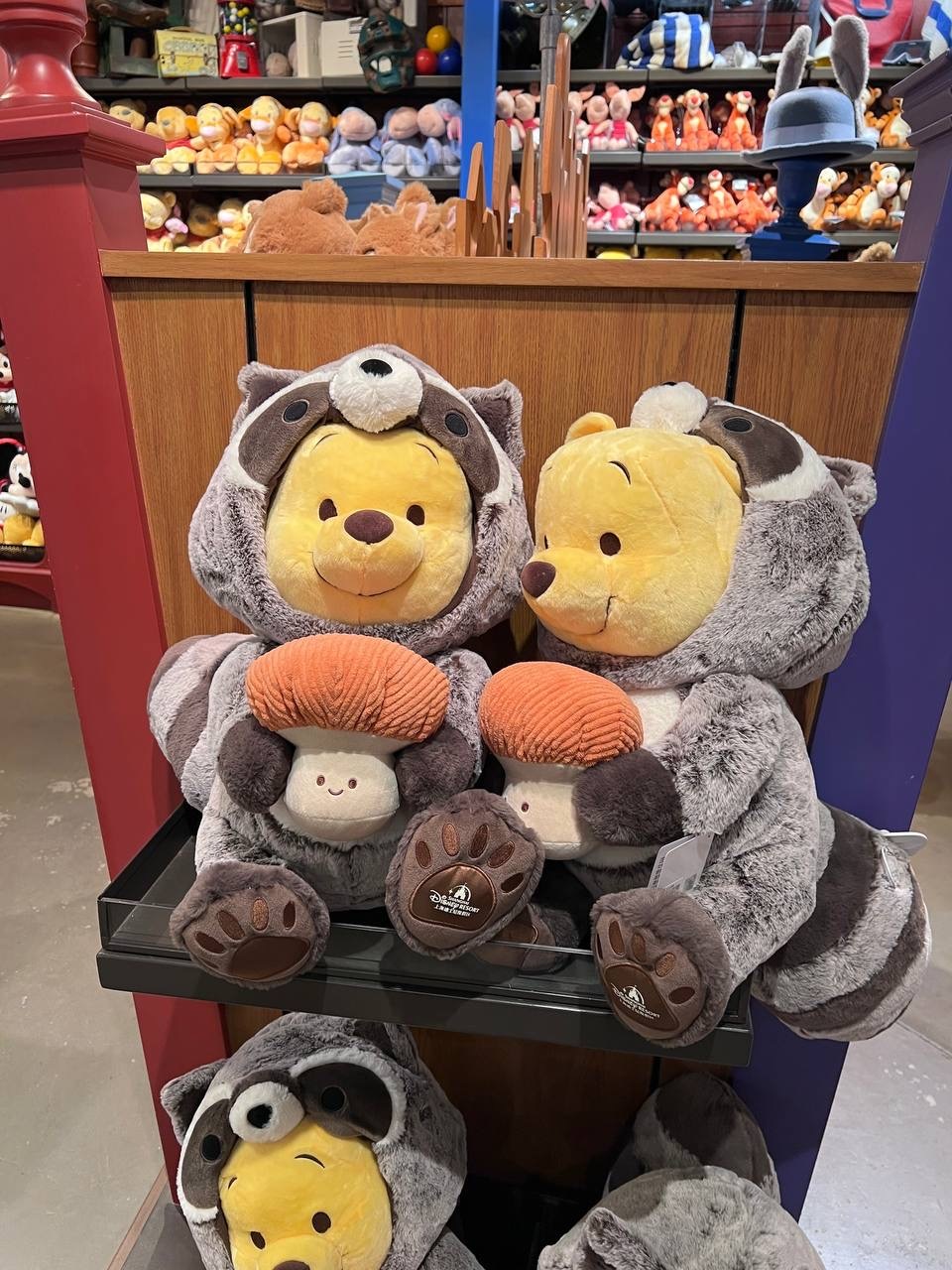 image_129F8ED6-DB61-47A9-A82A-4F96C82AA986_1742395597