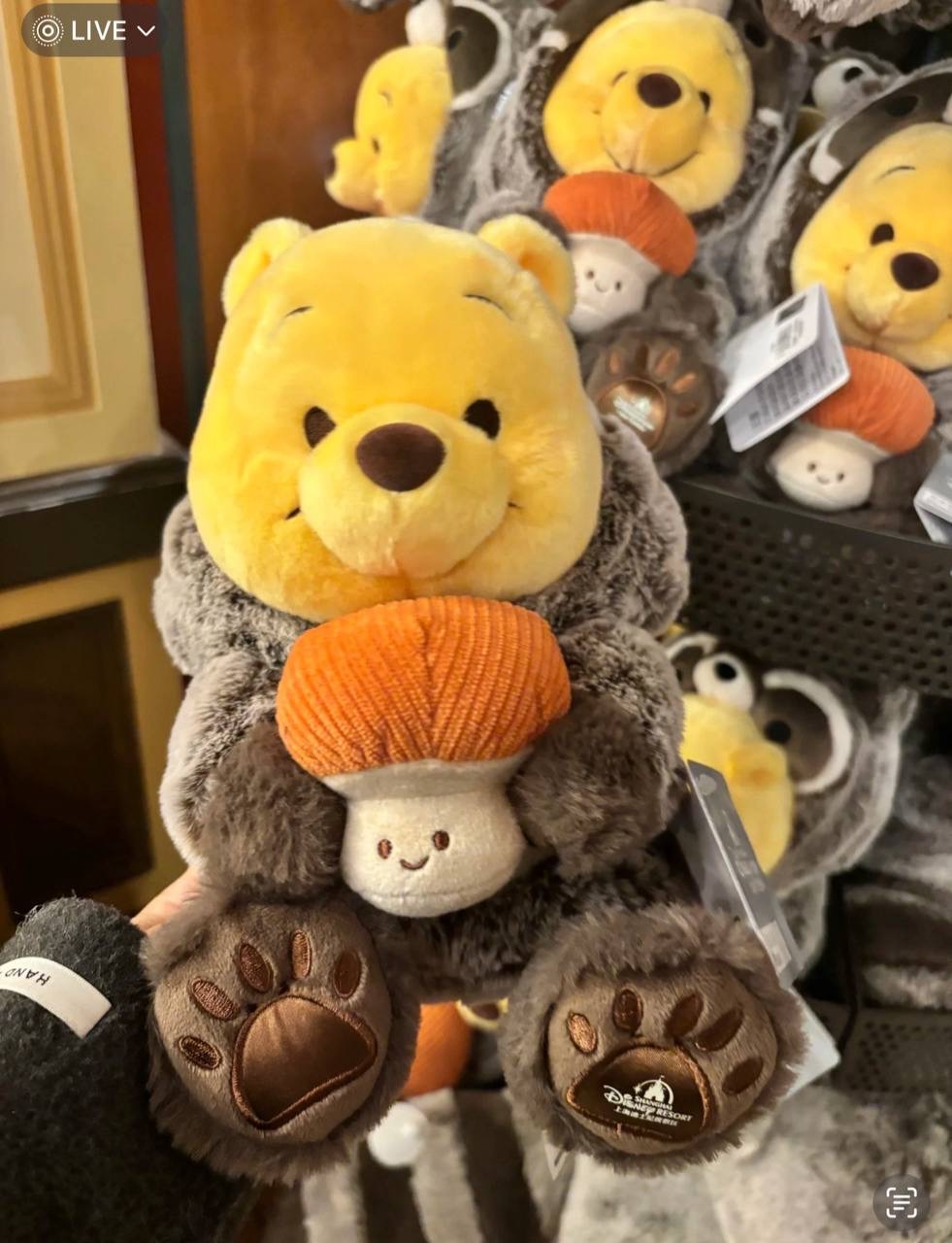 image_89DCAAED-AB08-4546-A036-719C5BACCADB_1742395597