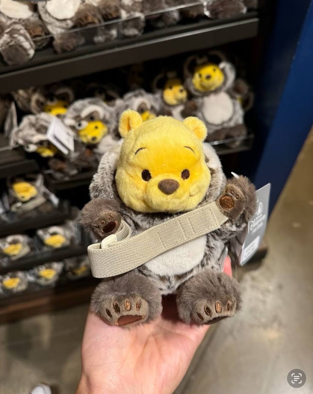 image_57651B46-0CD9-4D2C-A4A1-5E77294F3460_1742395653