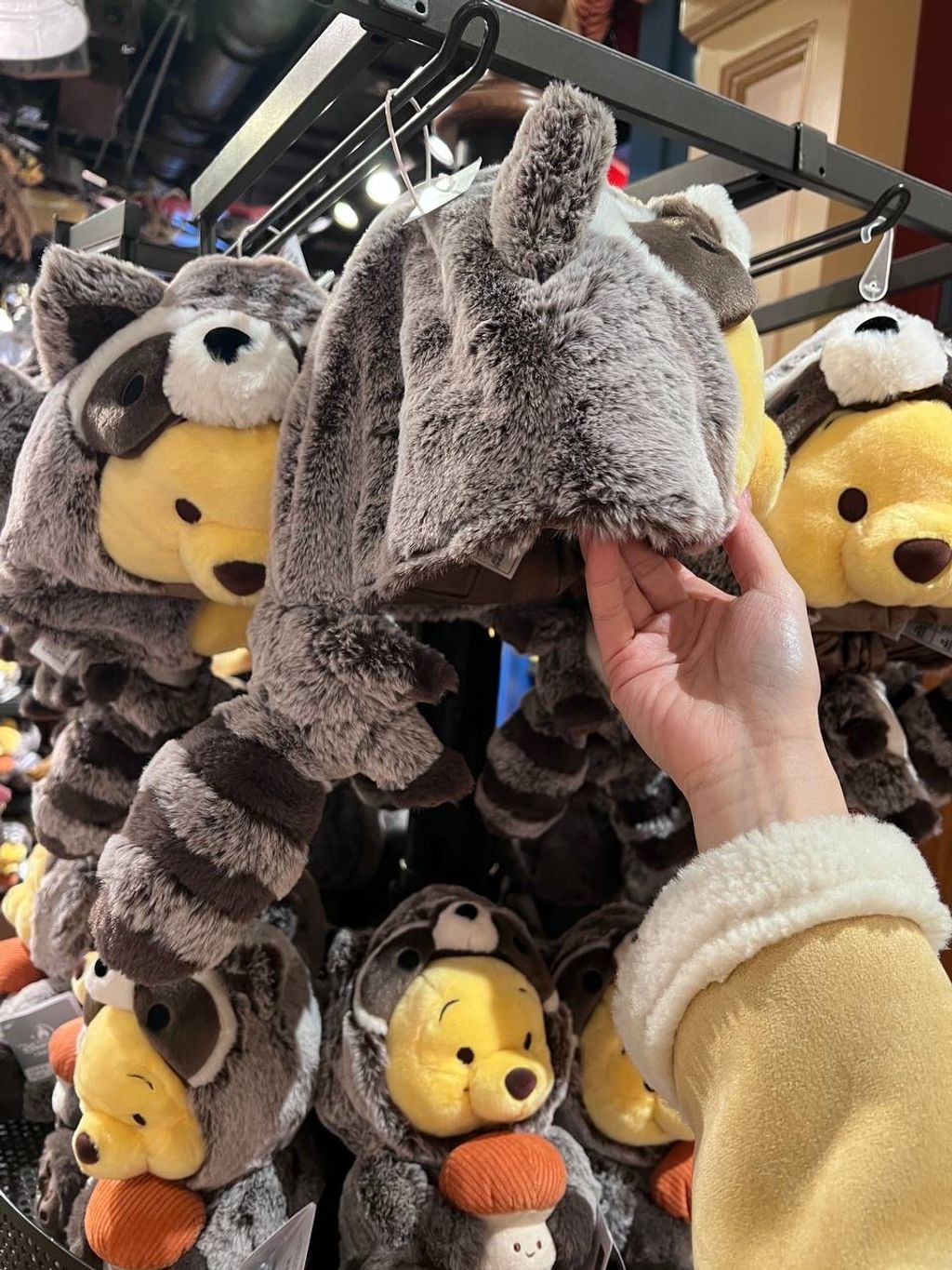 image_4712807F-A6F9-4A62-8836-EA4DD3CC34B9_1742395690