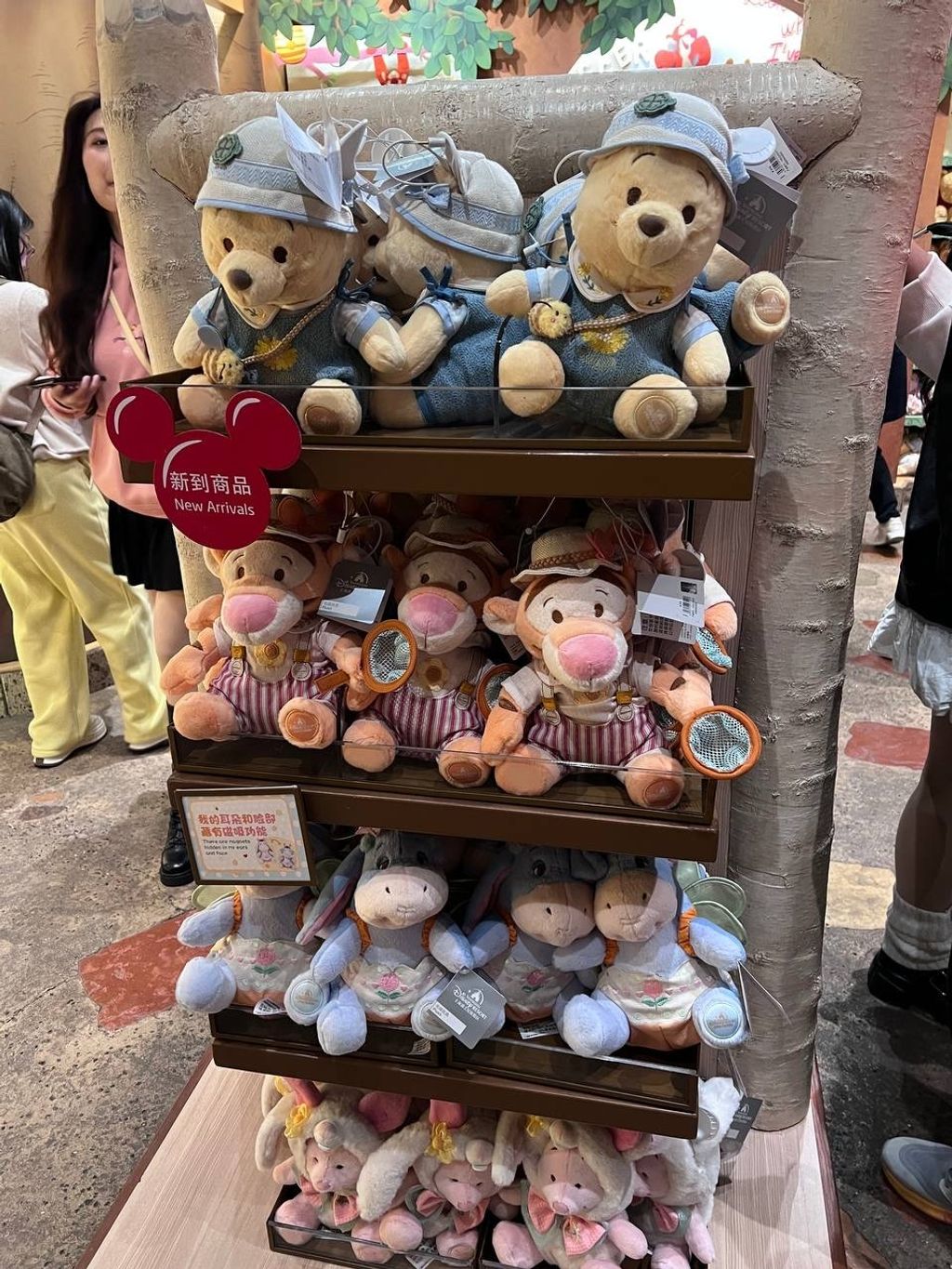 image_97D05CFC-3EE2-42B4-9628-513A34DA73BE_1742395732