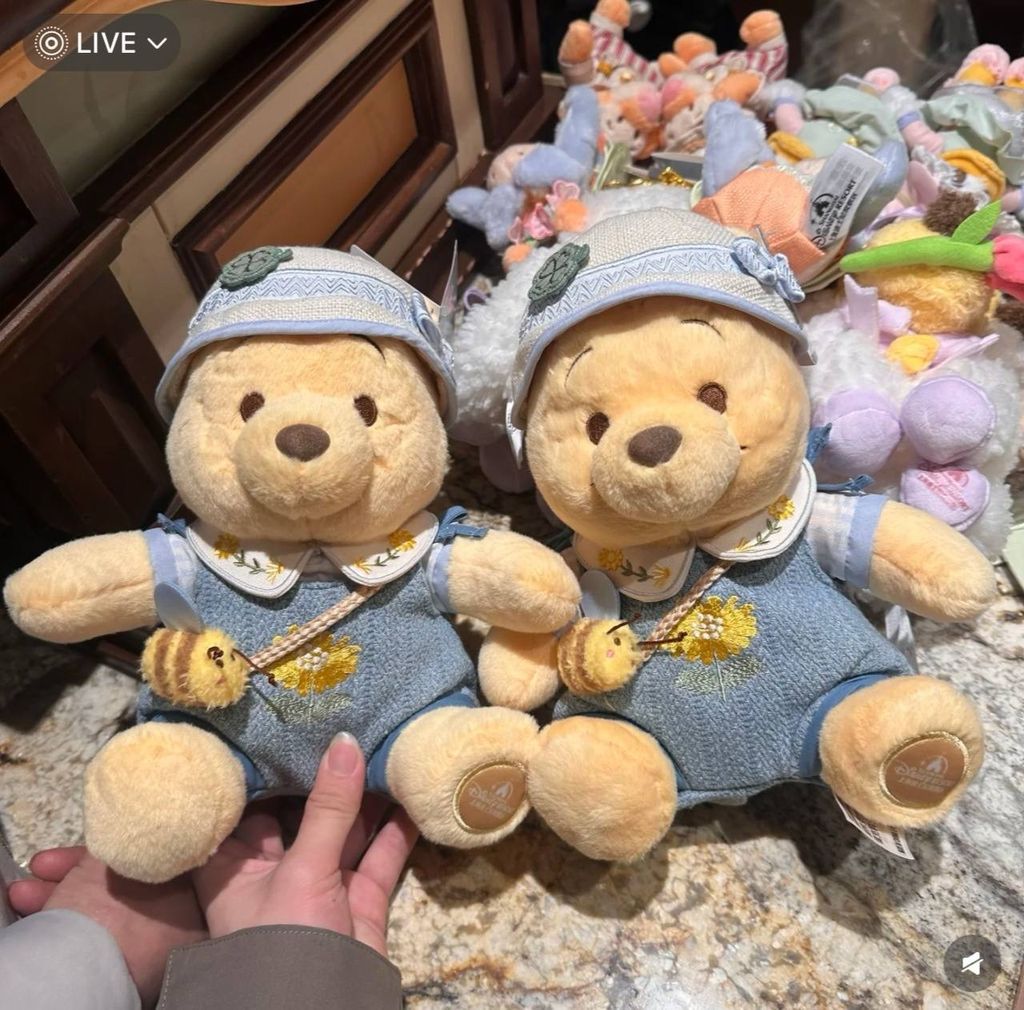 image_ACD30B8D-0BE6-4BC1-AEF4-88087D873785_1742395732