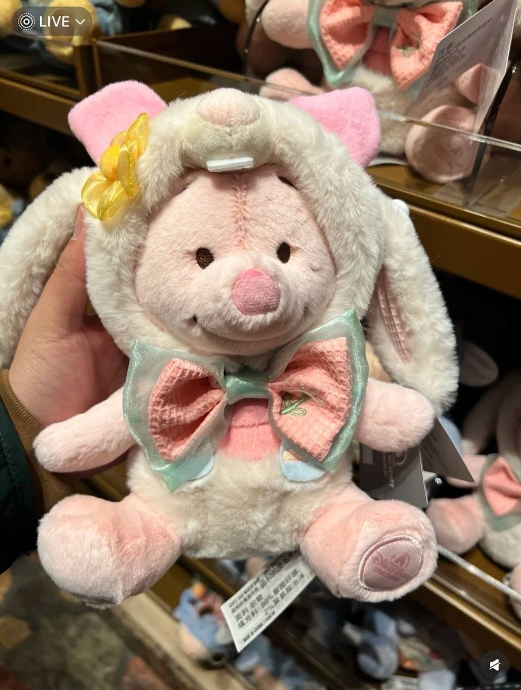 image_7B6319BA-85D9-4CE7-B3F3-678984665E72_1742395732