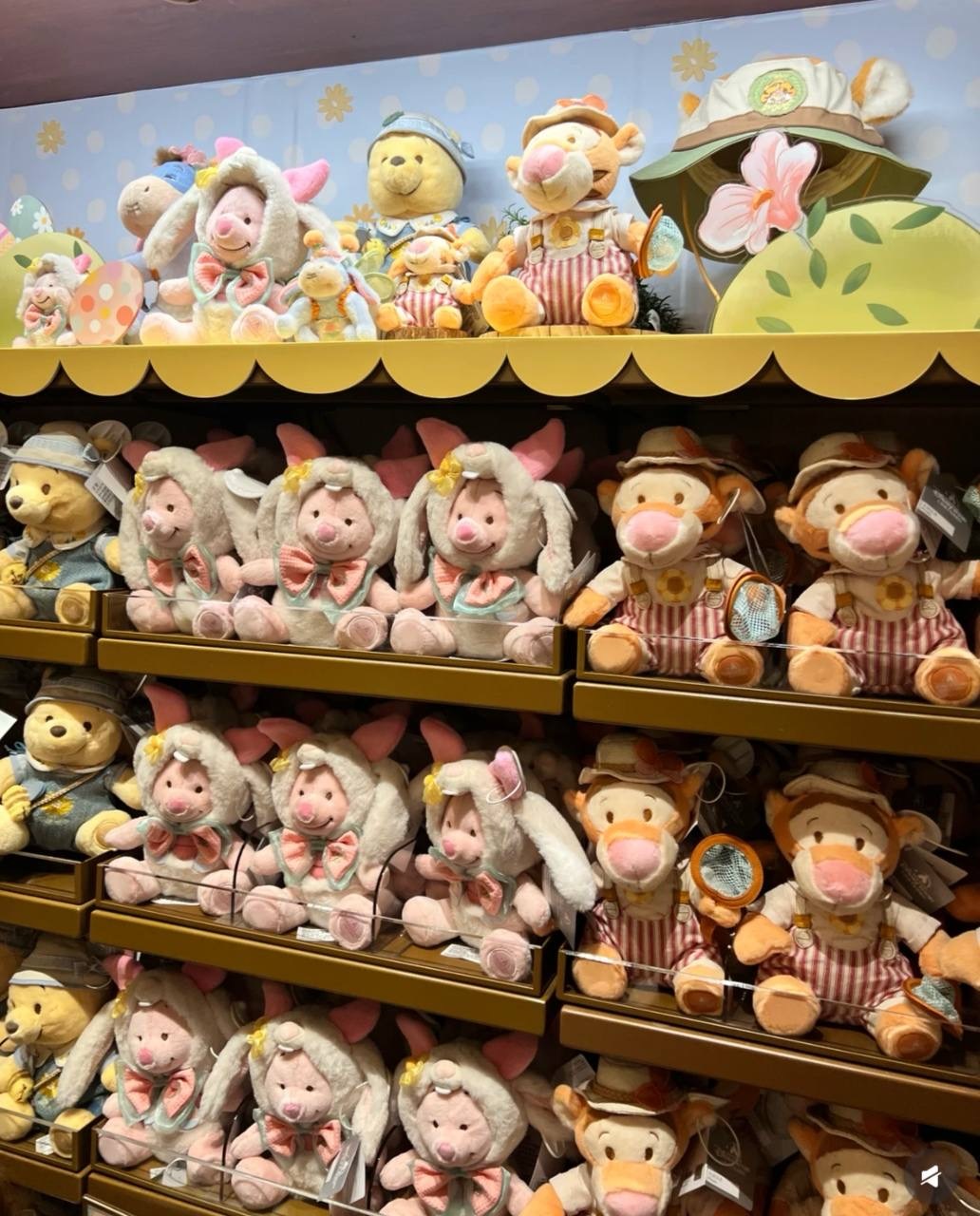 image_6C7A105B-F78F-48F5-A66D-B411A89C7C12_1742395732