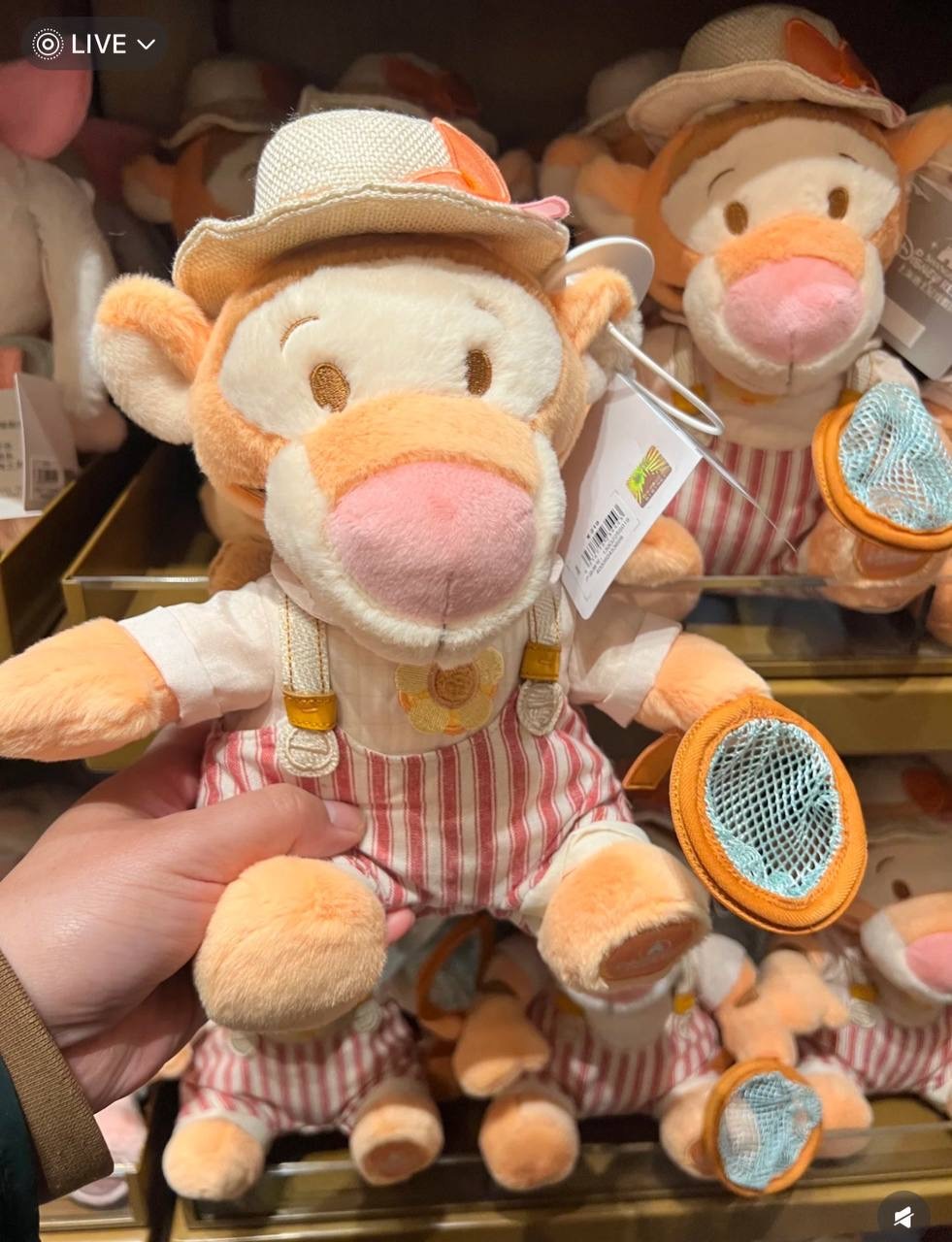 image_A6DE92C6-D217-47FE-92B2-311FA2838DF4_1742395732