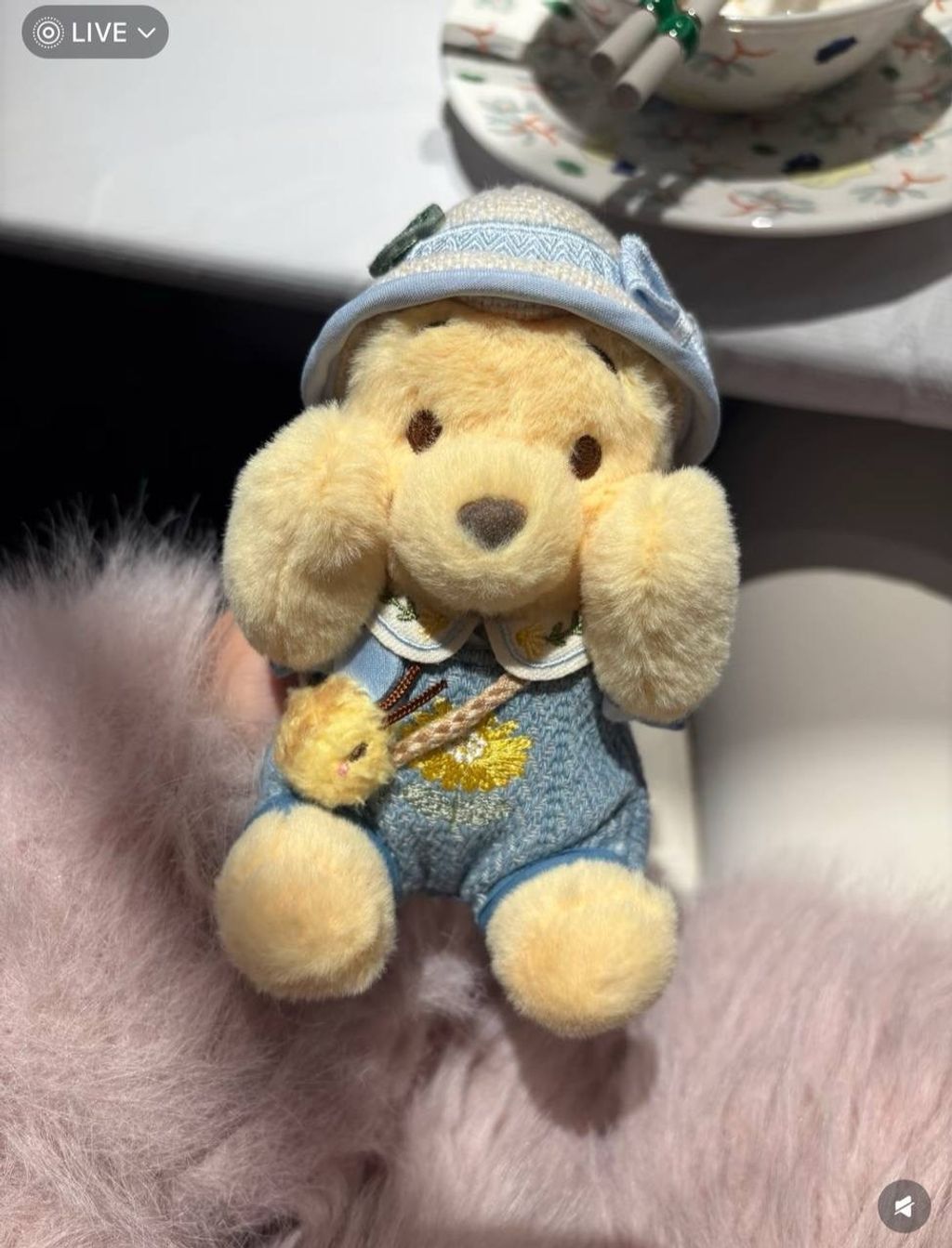 image_8C4D352F-9560-493E-A26B-A5B2DE91D62D_1742395732