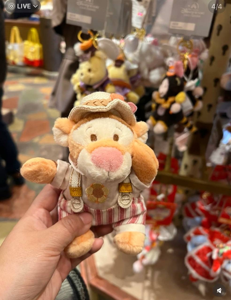 image_C3199775-B4D7-4273-8A8D-C8A73FE48D3F_1742395732