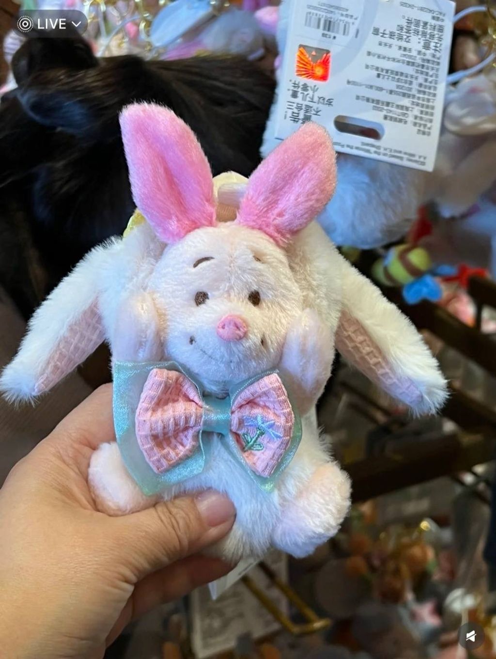 image_A501CA04-4393-4E3E-8933-90E986434E10_1742395732