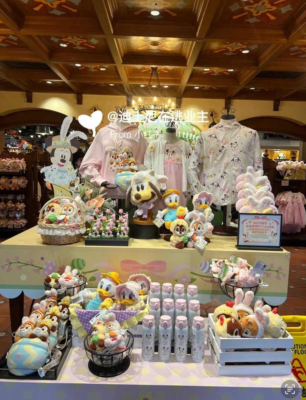 image_C3F42979-016A-4000-BC3F-AFB0D4906A66_1742557884